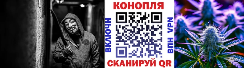  COCAIN Беломорск