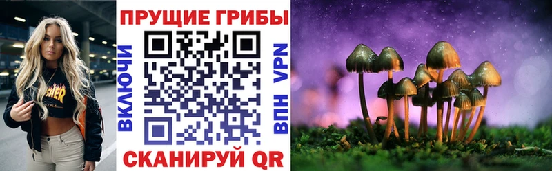 купить наркотики сайты  Беломорск  Галлюциногенные грибы Magic Shrooms 